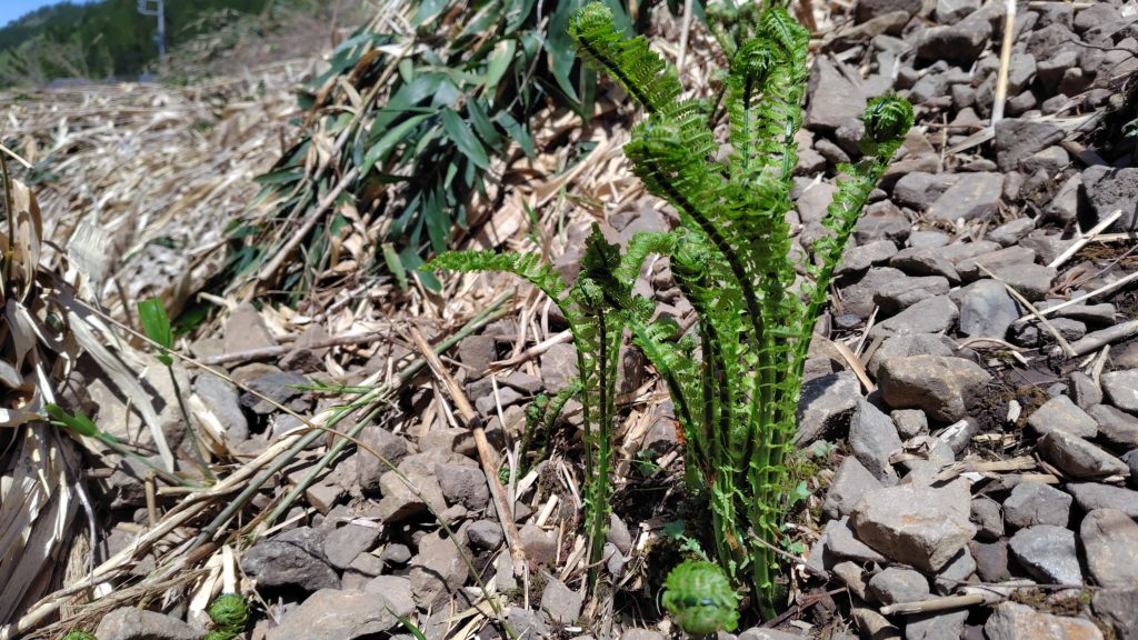 現在の画像に代替テキストがありません。ファイル名: 250424131621532-scaled.jpg