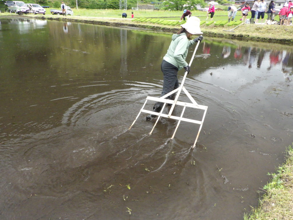 画像に alt 属性が指定されていません。ファイル名: R0010889-1024x768.jpg