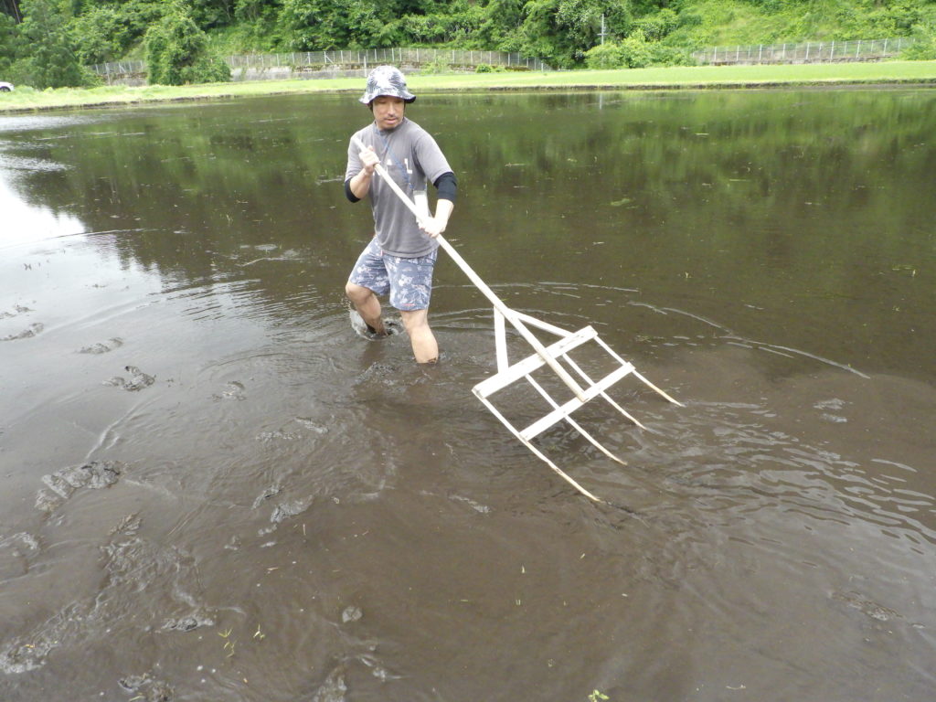 画像に alt 属性が指定されていません。ファイル名: R0010891-1024x768.jpg