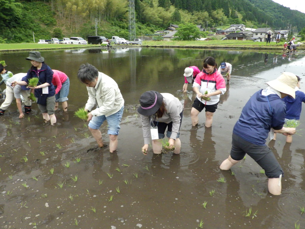 画像に alt 属性が指定されていません。ファイル名: R0010918-1024x768.jpg