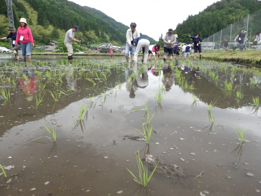 画像に alt 属性が指定されていません。ファイル名: R0010926-1024x768.jpg