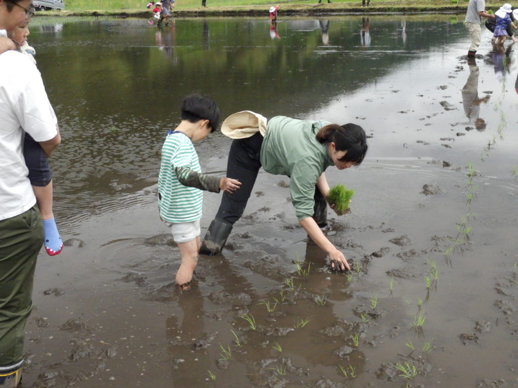 画像に alt 属性が指定されていません。ファイル名: R0010941-1024x768.jpg