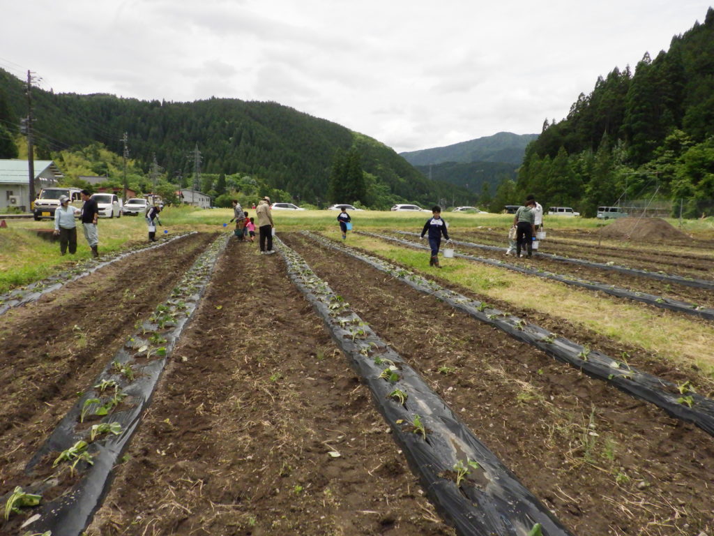 画像に alt 属性が指定されていません。ファイル名: R0010956-1024x768.jpg